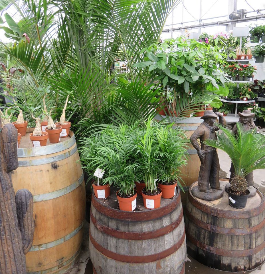 Garden plants