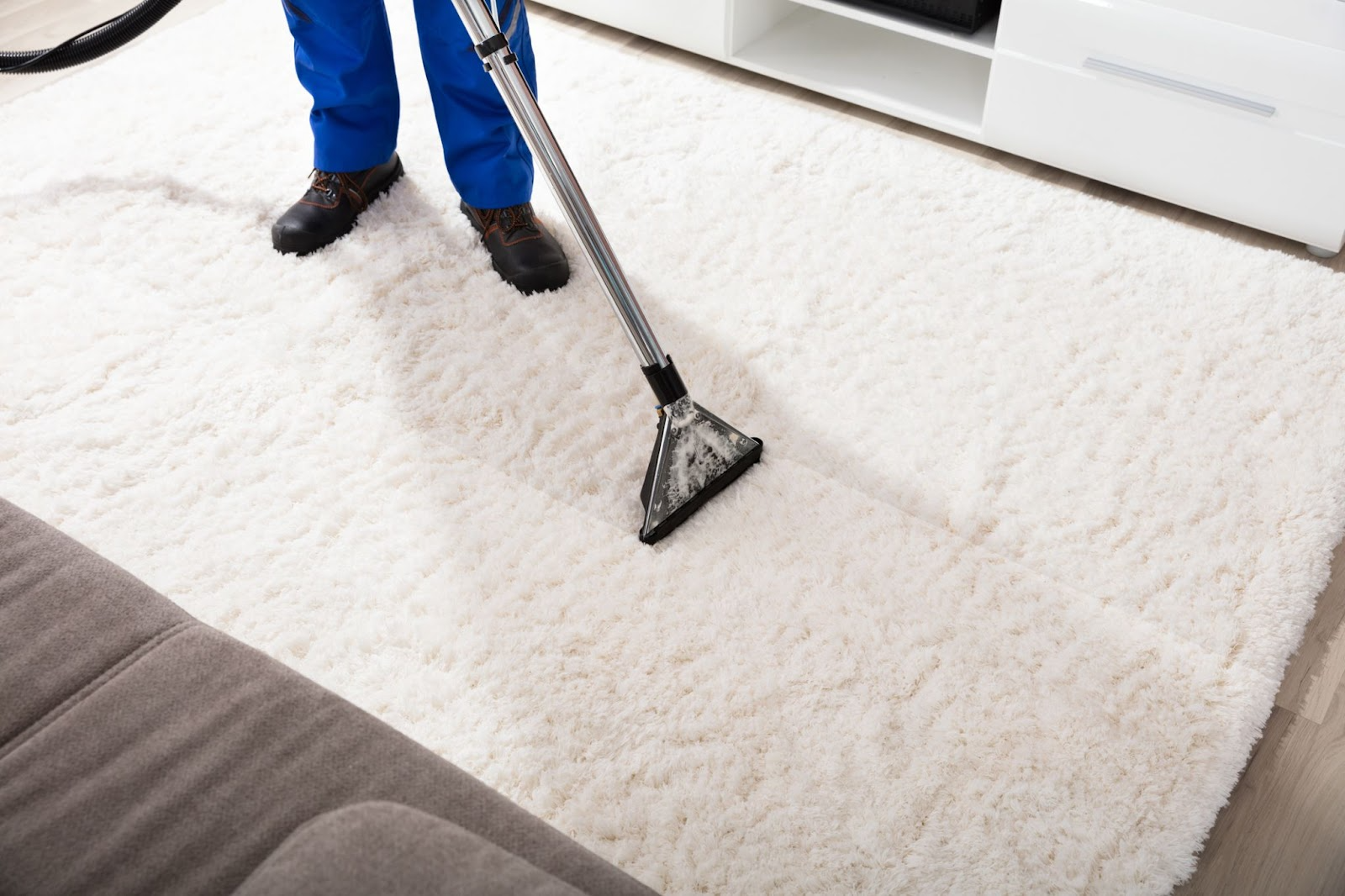 Person in blue pants cleaning a white shag carpet with a professional carpet cleaner.