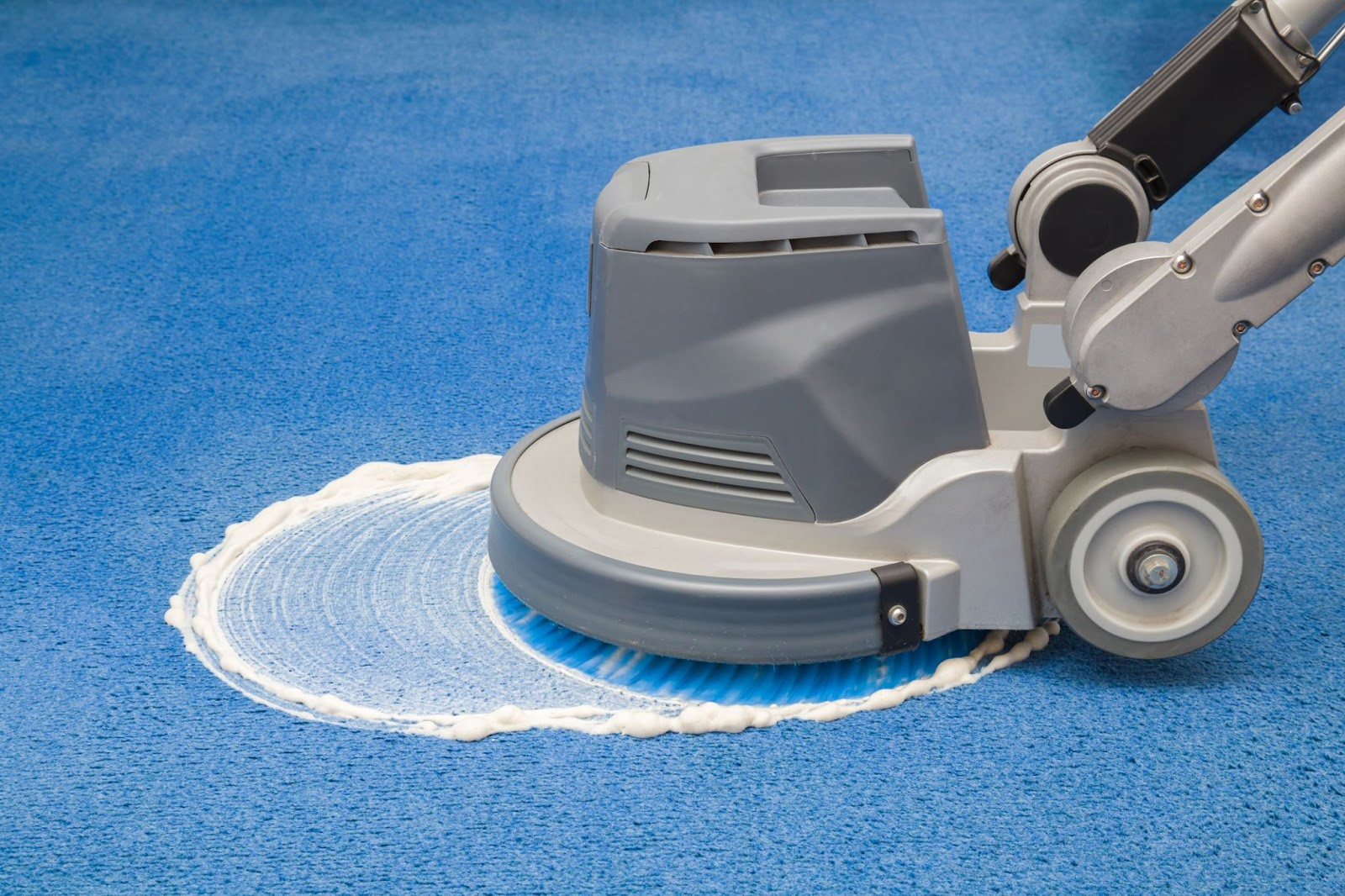 A carpet cleaning machine scrubs a blue carpet, leaving a wet, soapy circle.