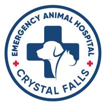 Emergency Animal Hospital of Crystal Falls Logo