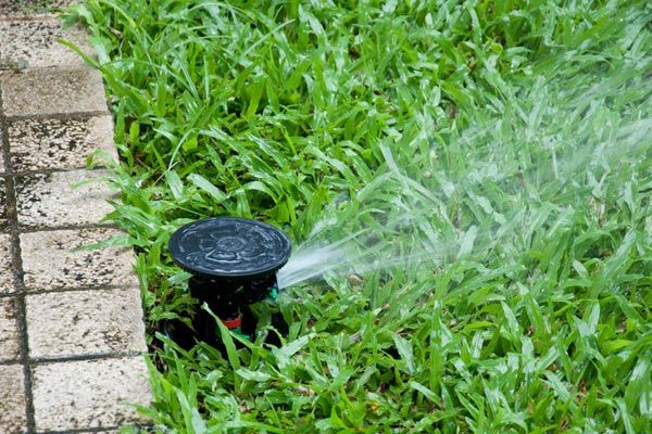 Top-Notch Trench Installations