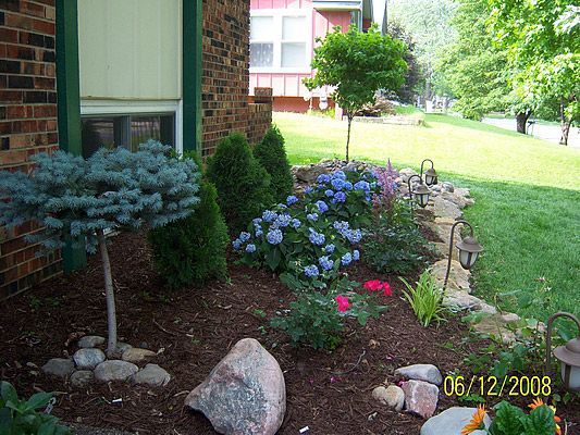 Landscaped garden bed with blue and green plants, mulch, and stone edging.