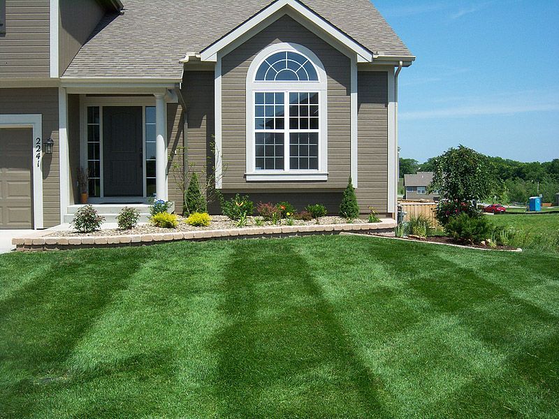 House with striped green lawn, flower bed, and blue sky.