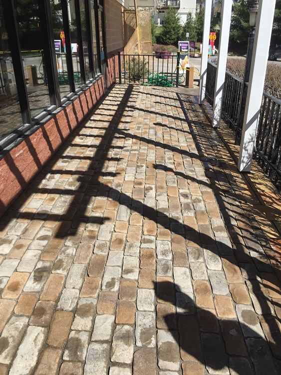 Shadows from a trellis on a brick-paved patio next to a building with large windows.
