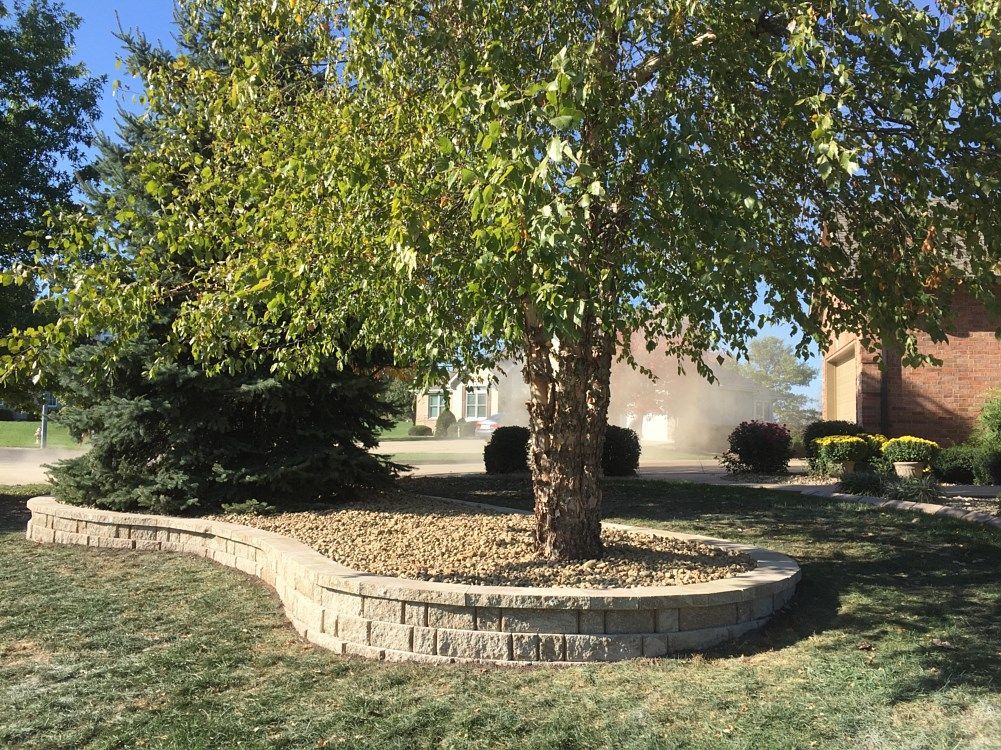 A tree with a rocky base surrounded by a low brick wall, in a landscaped yard.