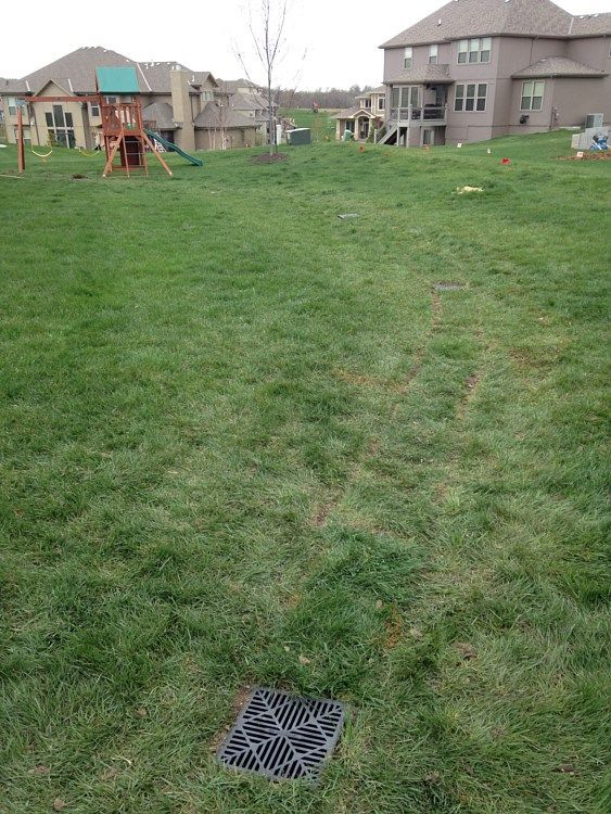 Lawn with a drainage grate, a playground, and houses in the background. Green grass covers the scene.
