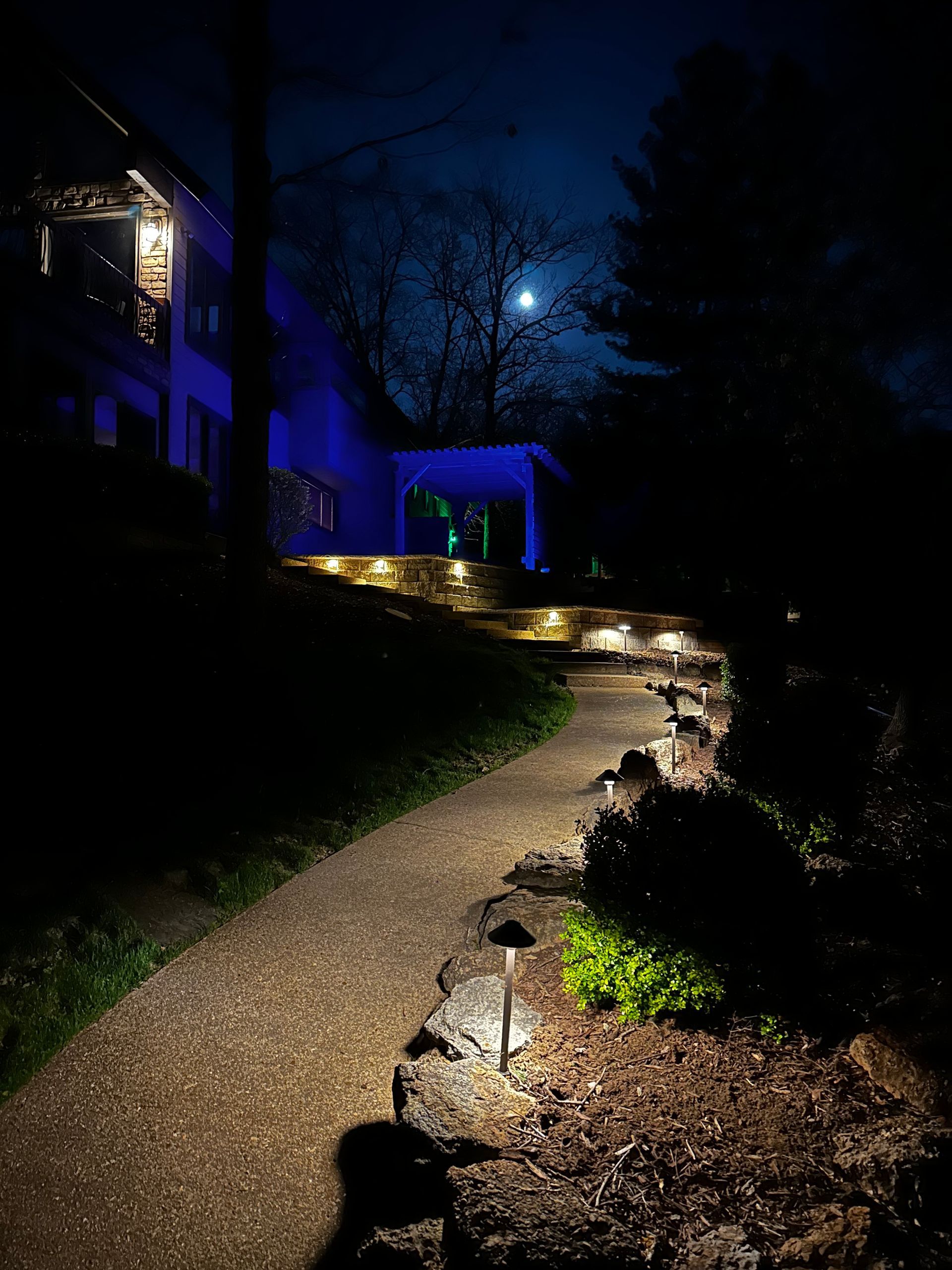 Moonlit garden path lit by small ground lights beside a dark house and trees.