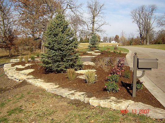Landscaped garden bed with evergreens, mulch, and stone edging by a driveway and mailbox.