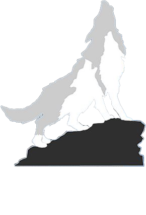 Wolf icon and The Yard Baseball Academy logo