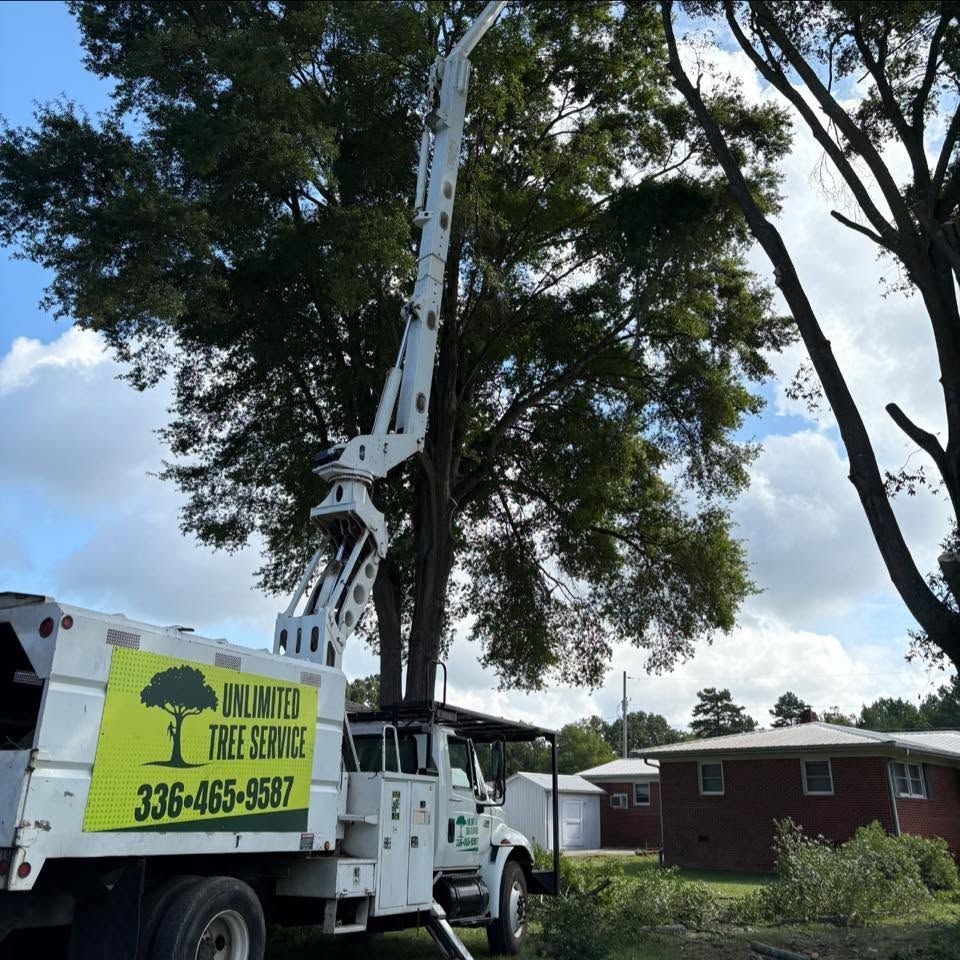 tree service
