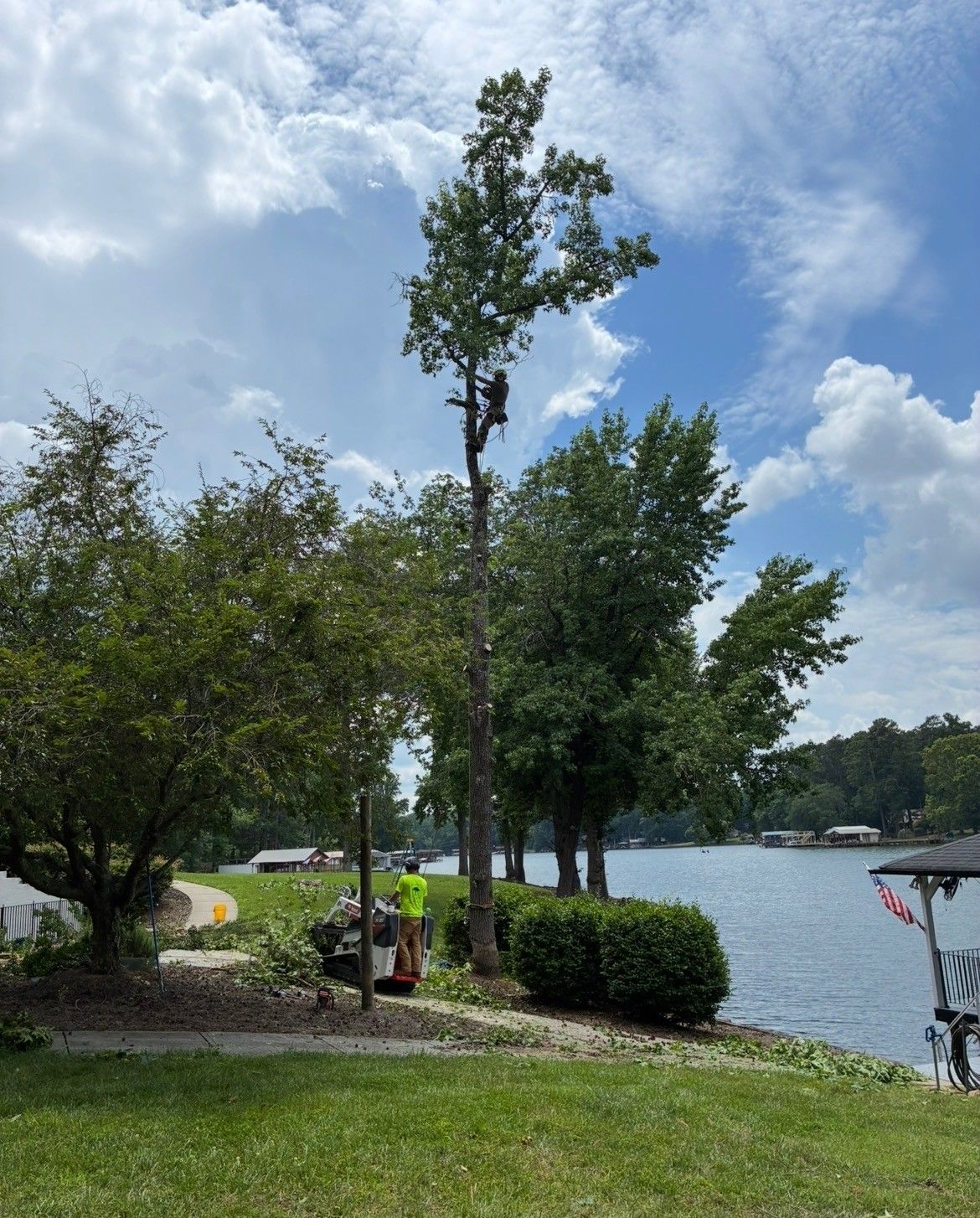 local tree service