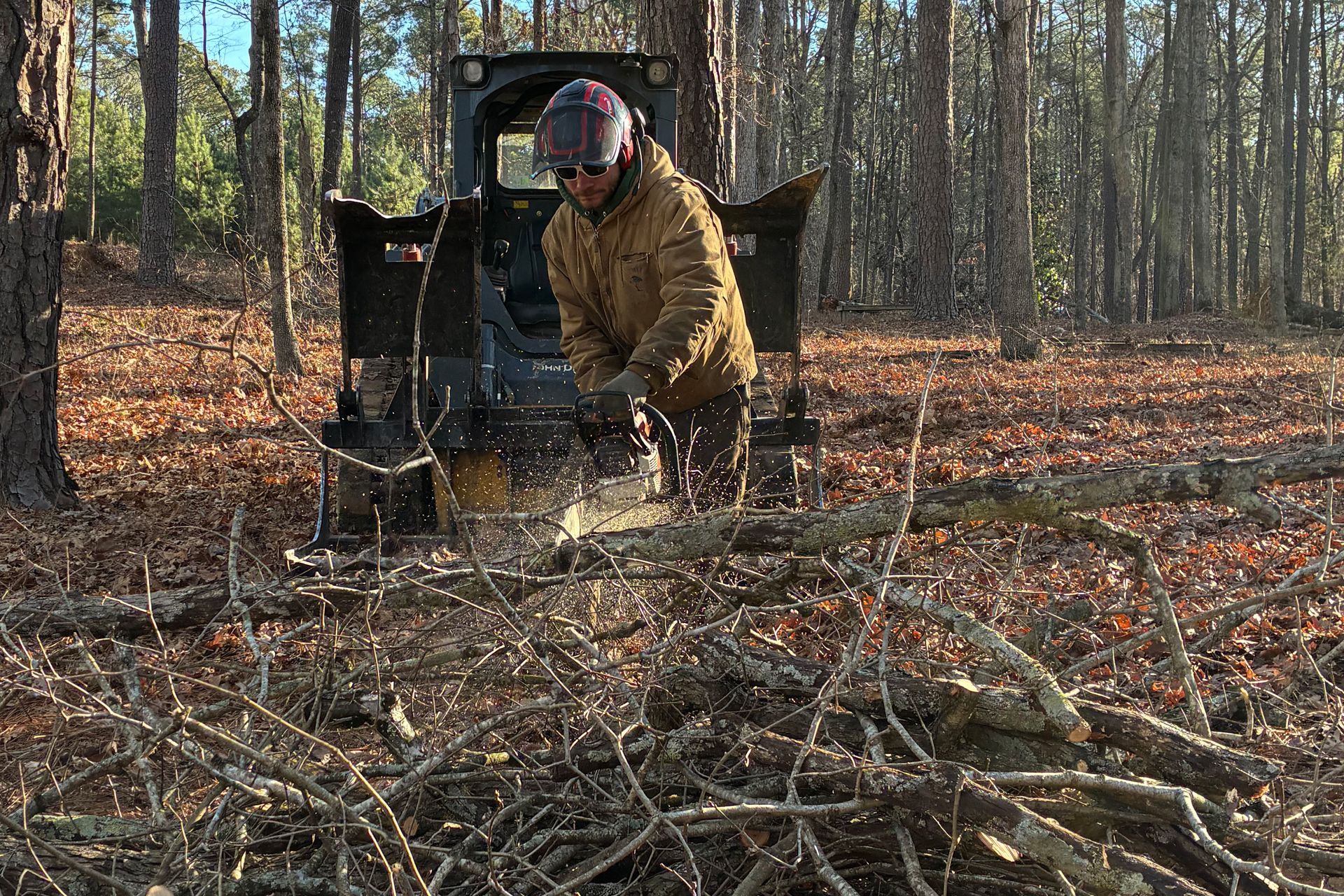 Person in a skid steer operating a chainsaw, cutting branches in a forest.
