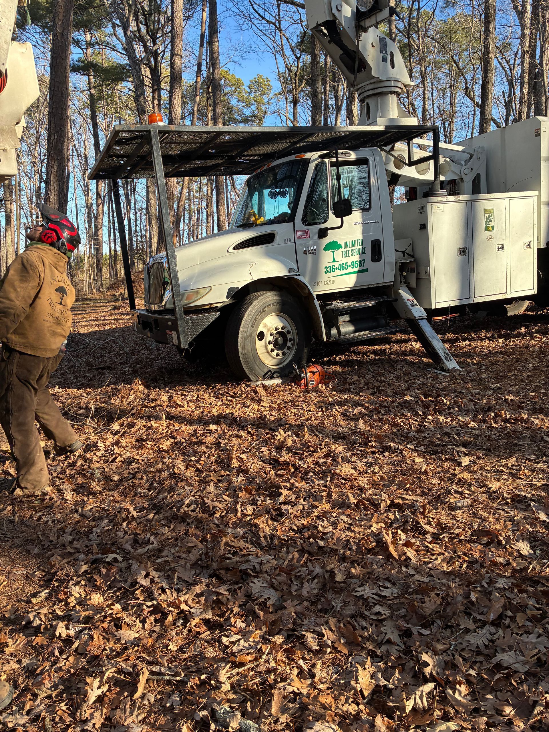 Tree service truck with a worker in a wooded area, surrounded by fallen leaves, on a sunny day.