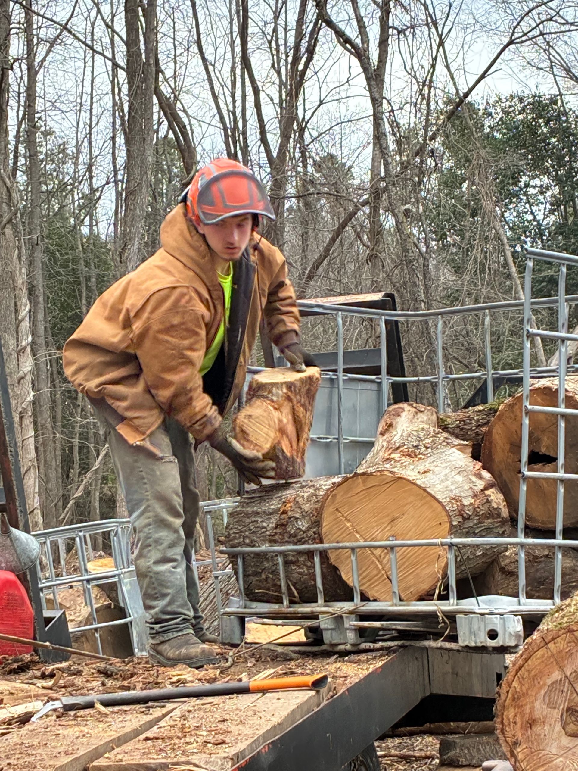 Person loading logs into a metal container. They wear safety gear and brown work clothes outdoors near trees.