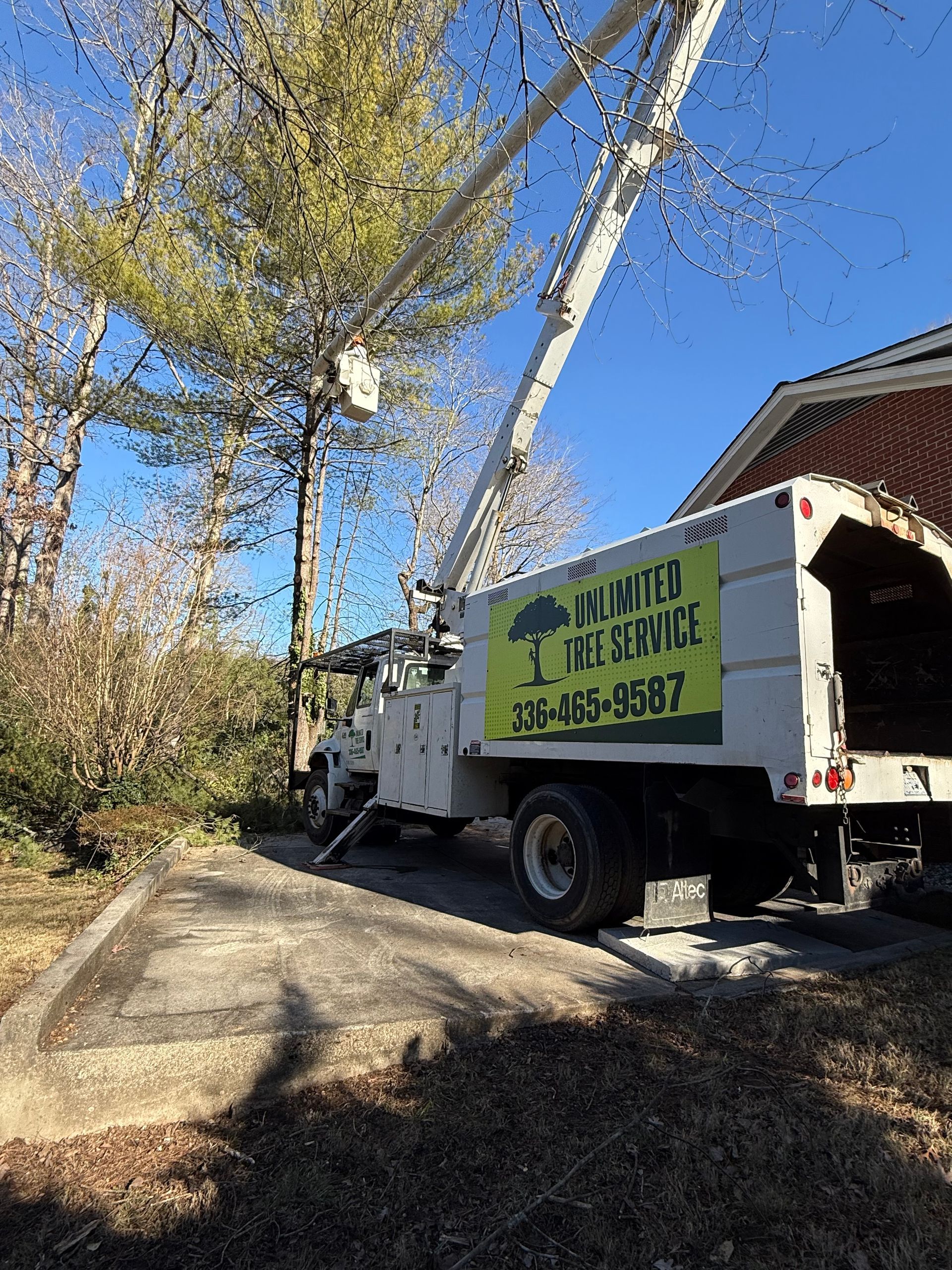 Tree service truck with lift arm extended, trimming a tall tree next to a brick building.