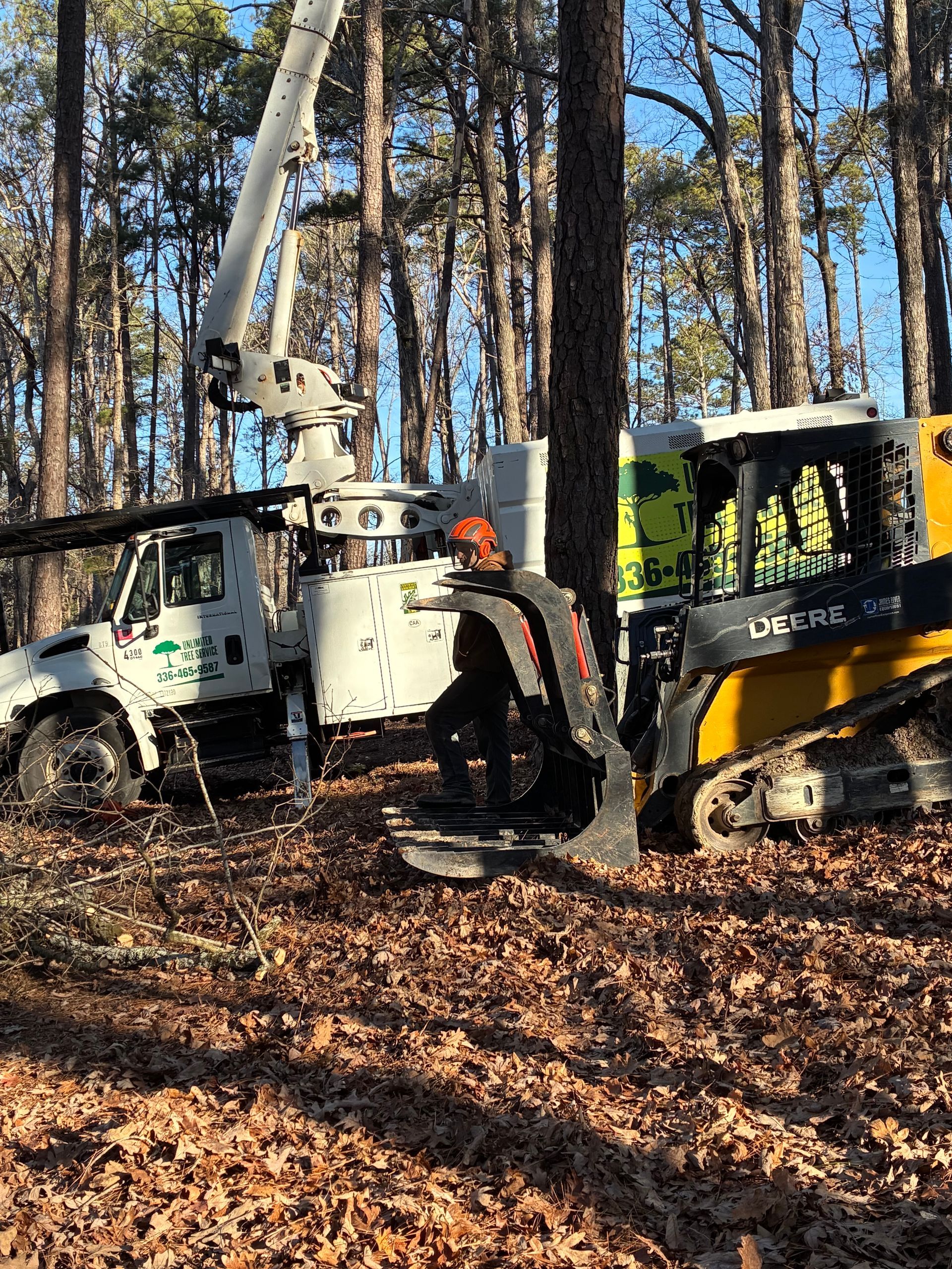 Tree service truck and skid steer working in a wooded area; worker operating equipment.