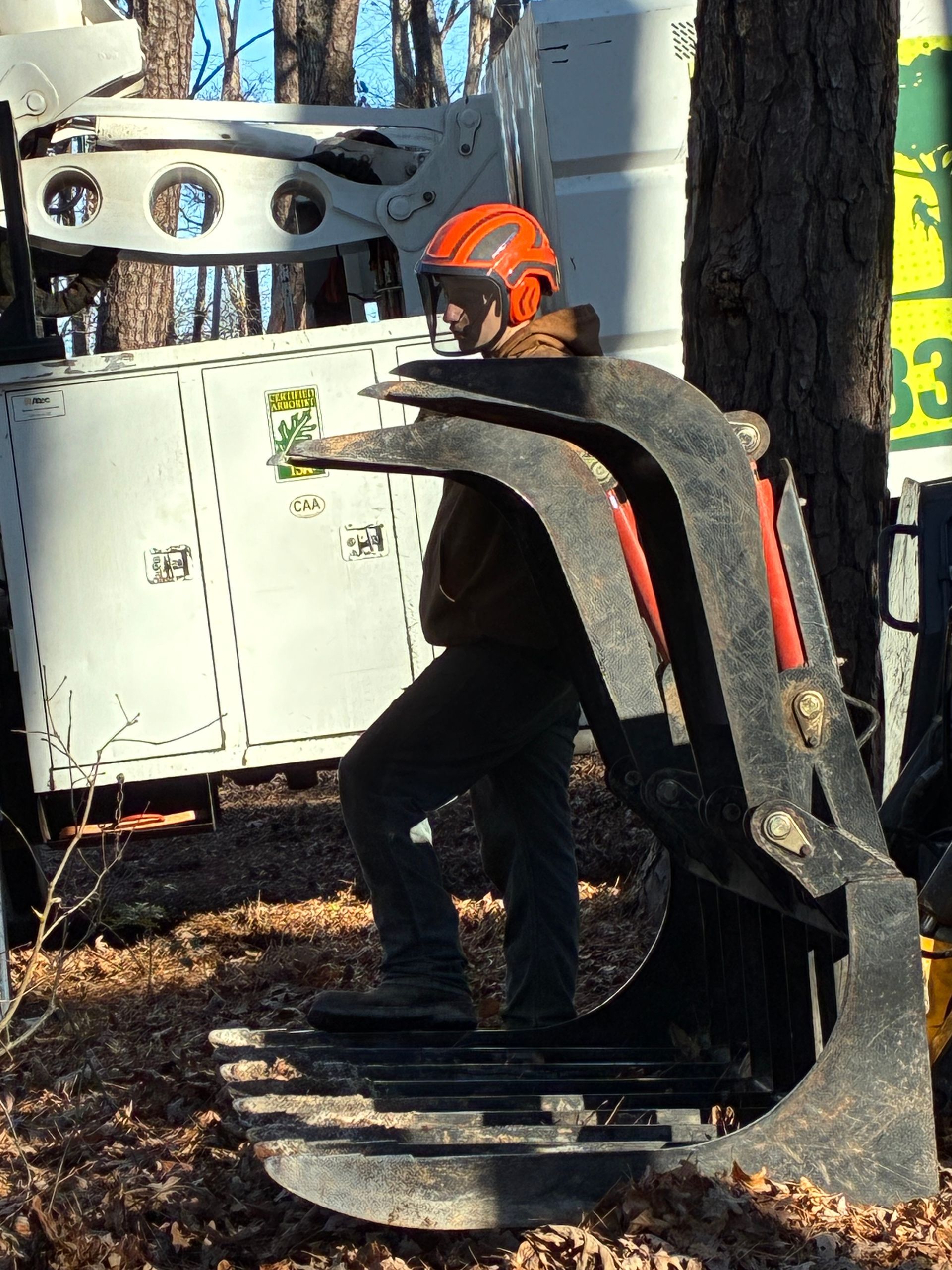 A person in a hard hat stands near a tree and a grapple saw attachment on an industrial vehicle.
