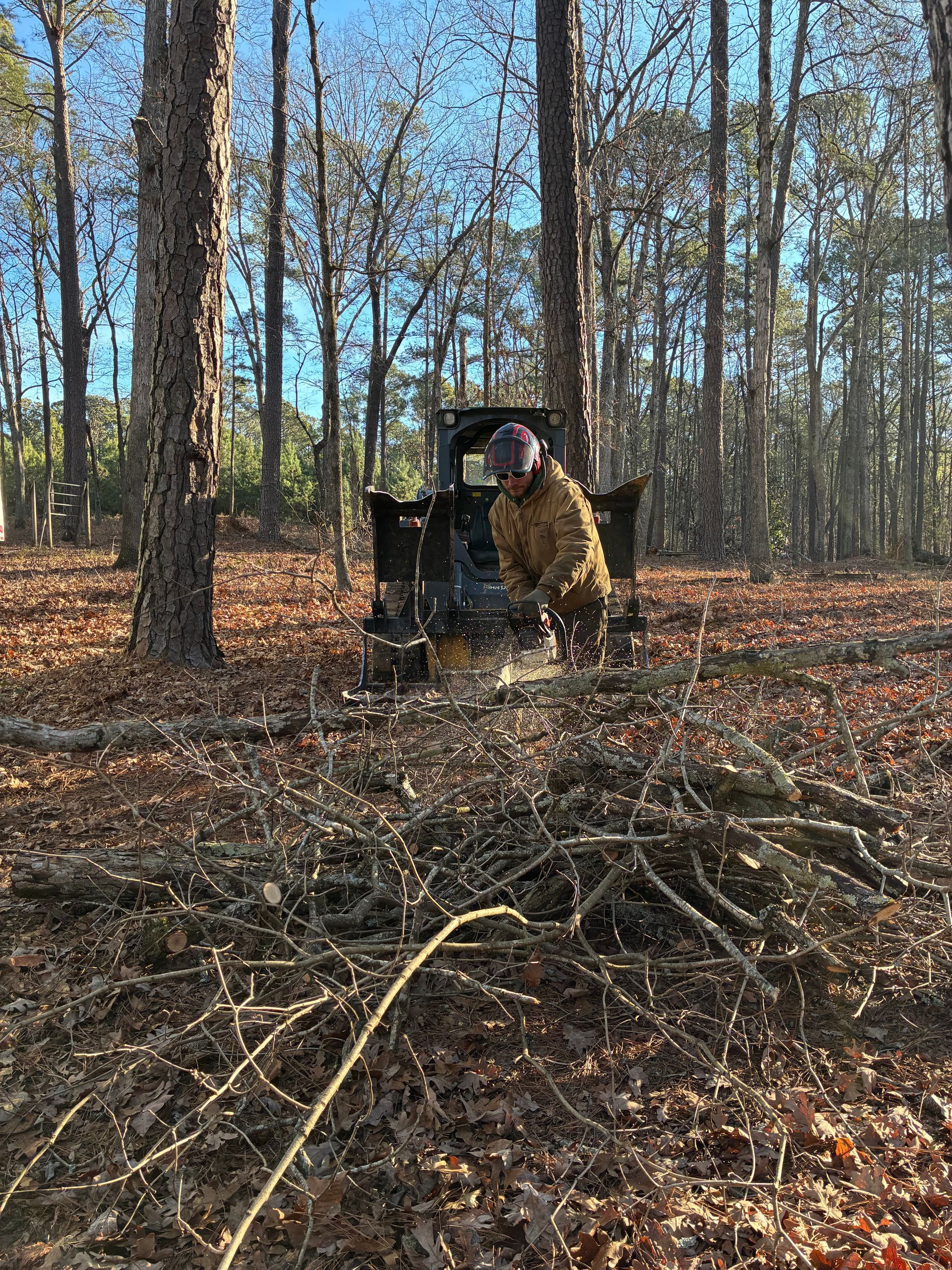 A person operating a skid steer in a wooded area, cutting brush.