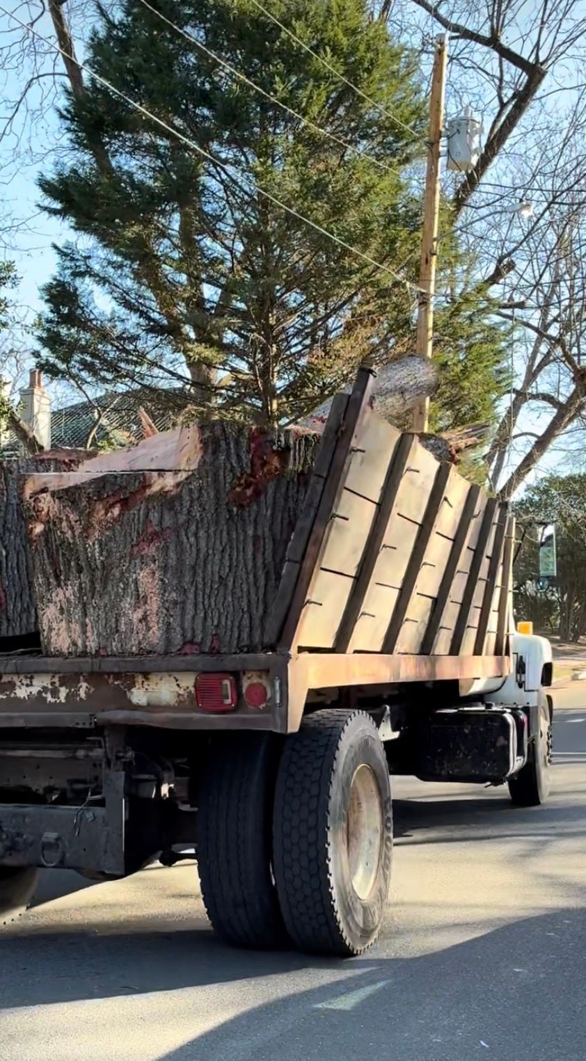 Truck bed filled with cut logs, parked on a street.  Sunlight, blue sky, and trees visible.