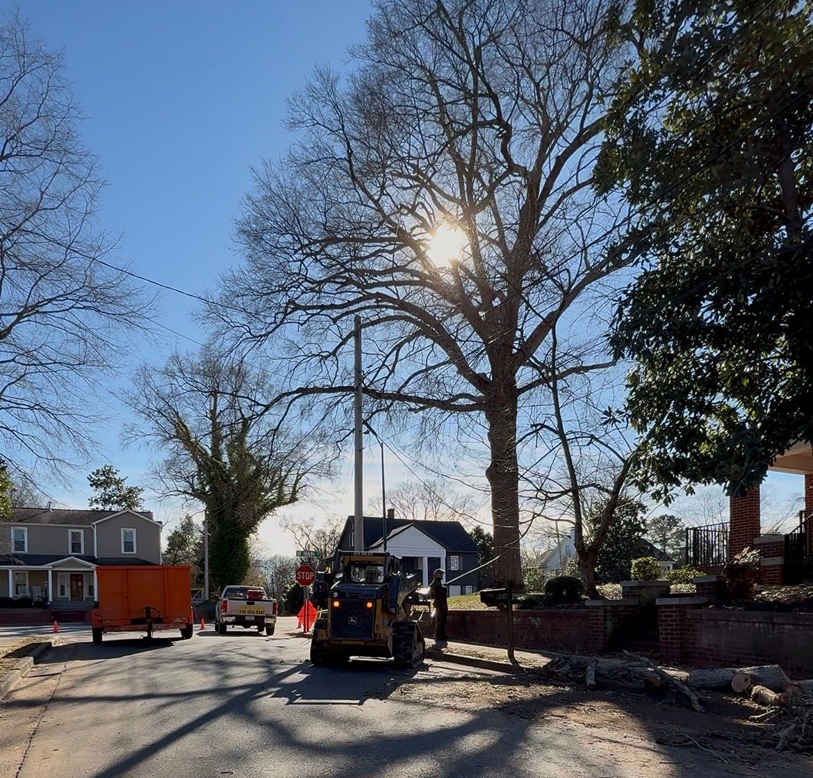 Street scene with sun behind a large tree; small construction equipment on the road; houses and blue sky.