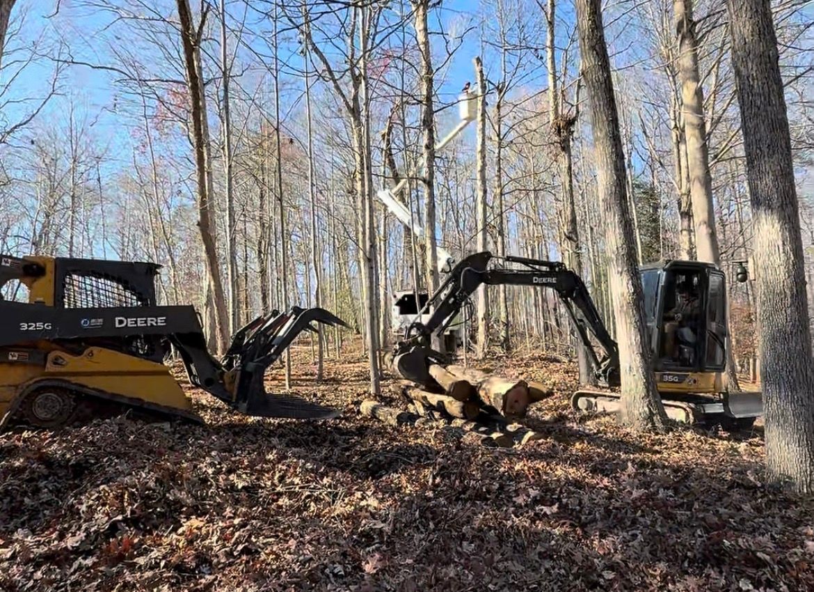 Two yellow construction vehicles cutting logs in a forest.