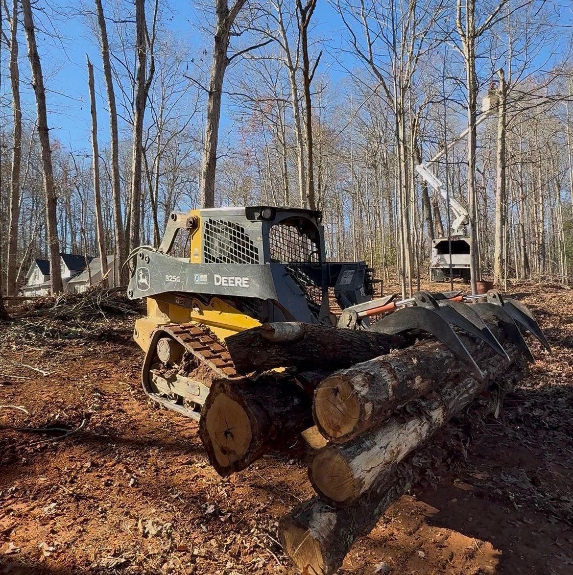 Yellow skid steer tractor holding cut logs in a wooded area with trees and a truck.