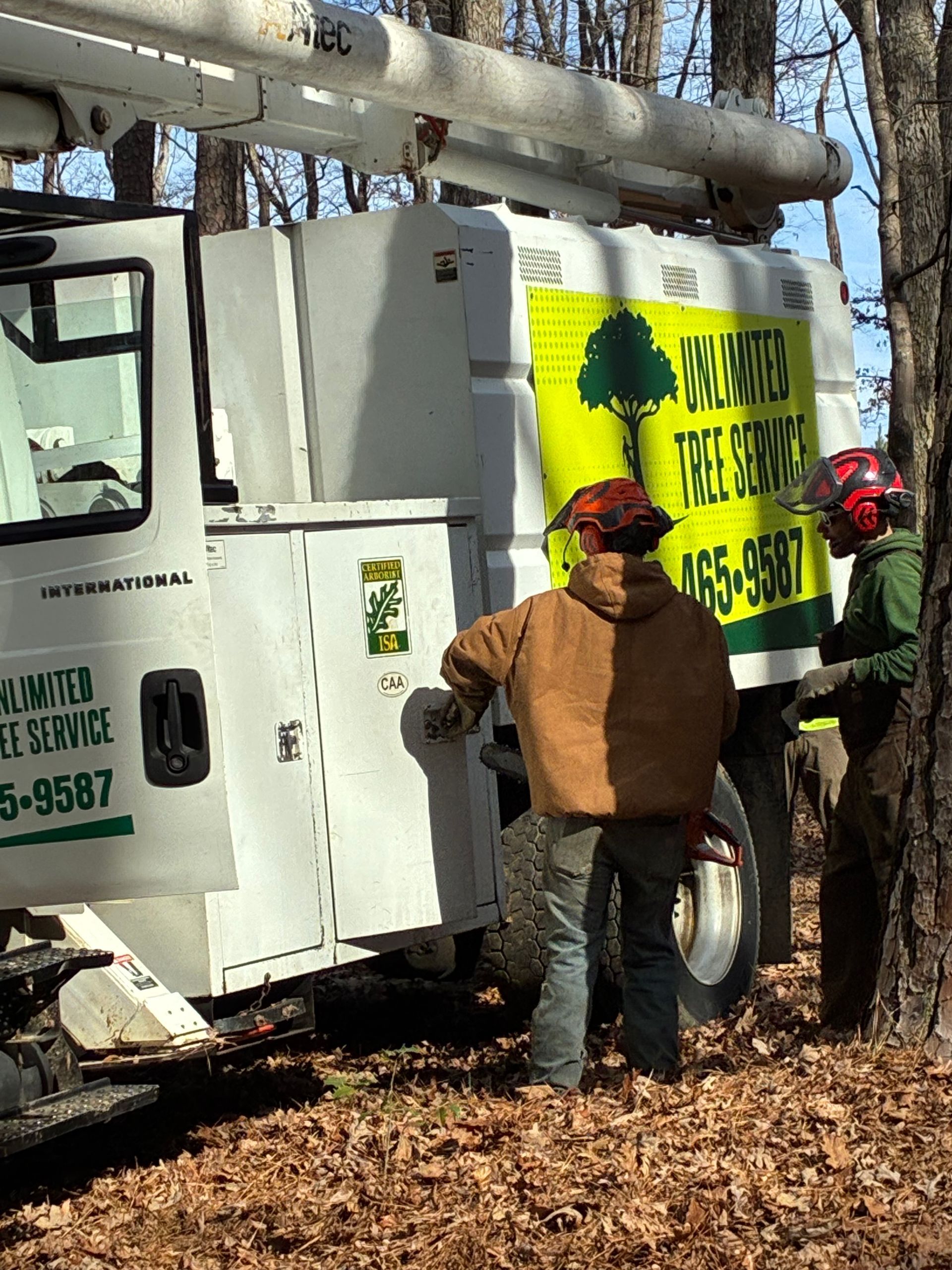 Two workers near a white tree service truck in a wooded area. The truck has 