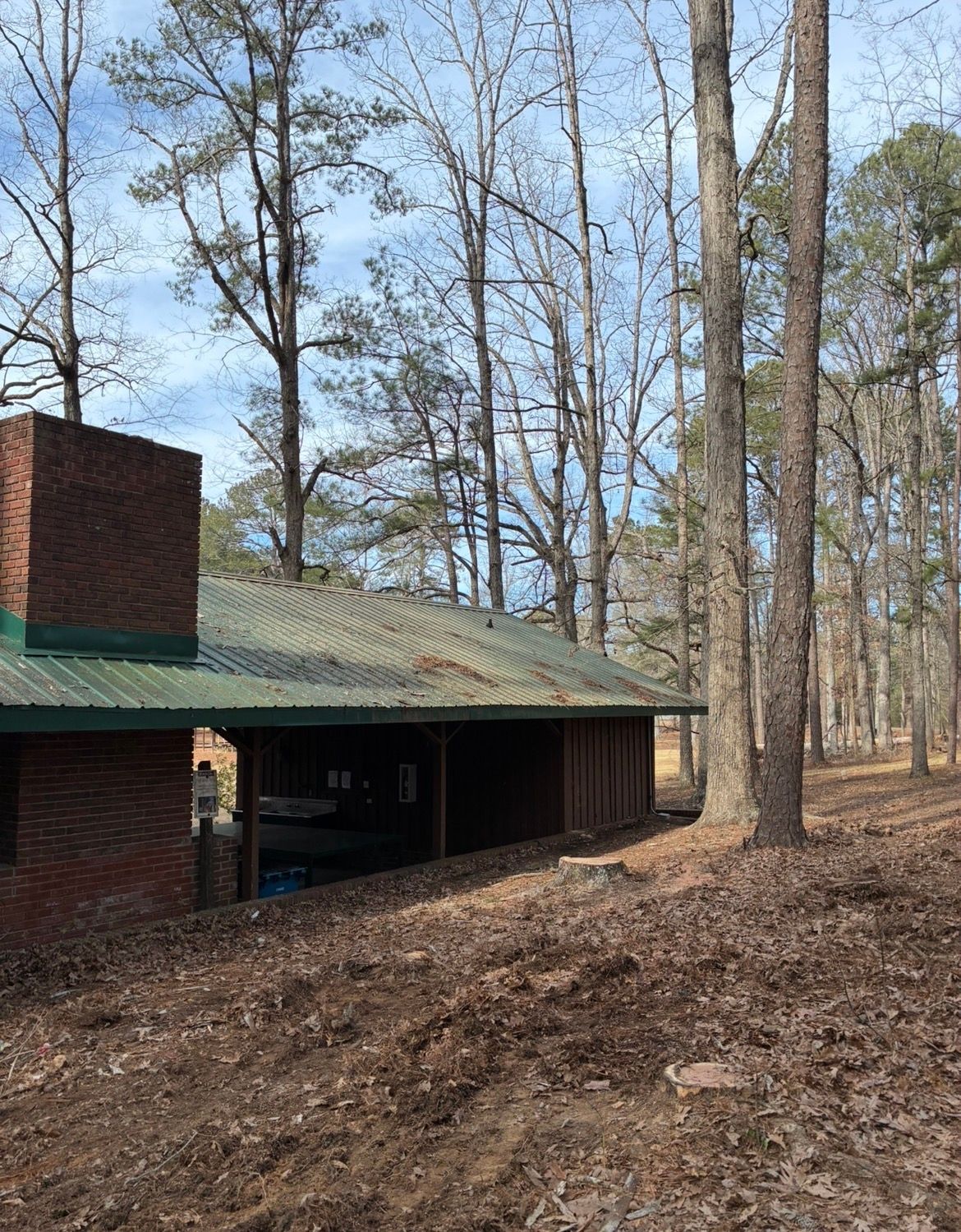 Brick building with green roof in a wooded area; brown leaf-covered ground.