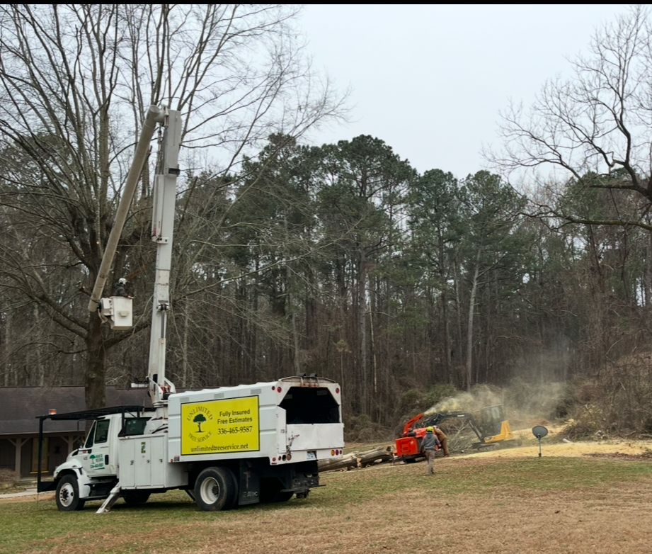 A tree removal truck with a lift removes branches, feeding them into a wood chipper in a wooded area.