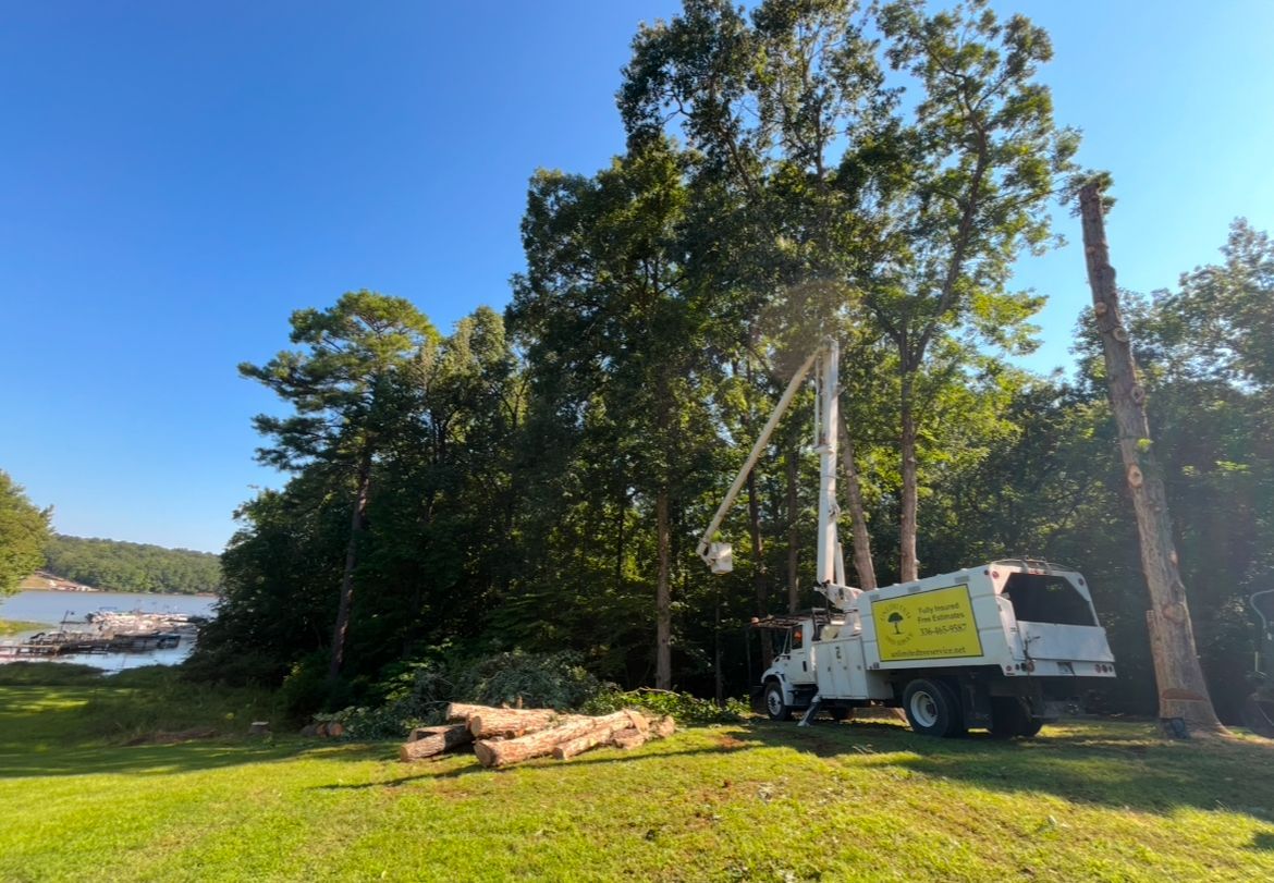 A tree service truck trims a tall tree on a sunny day. Cut logs lie on the ground near a waterfront.