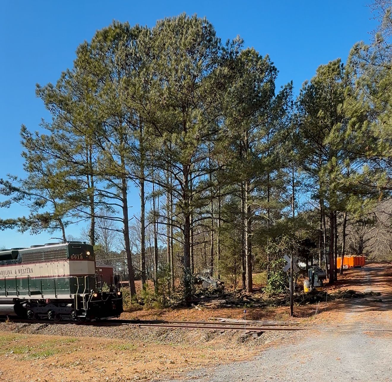 Train at a crossing next to a treeline; a clear, blue sky overhead.