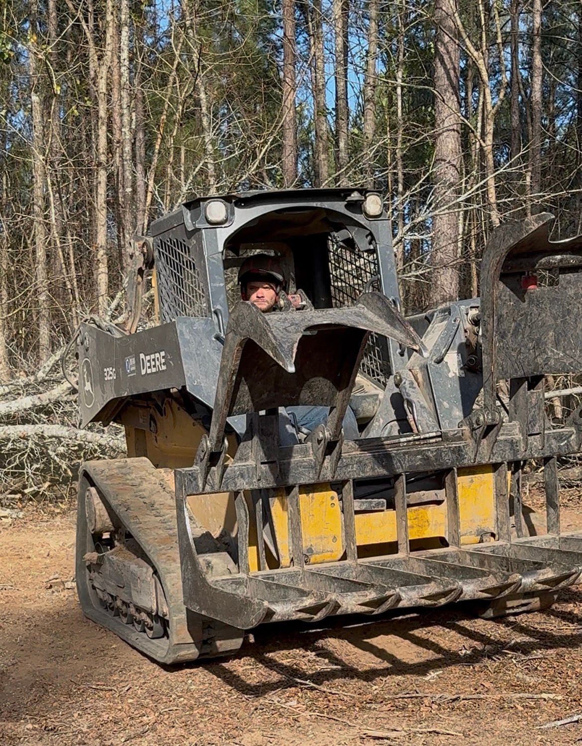 A person in a skid steer with a forestry cutter attachment clearing trees in a wooded area.