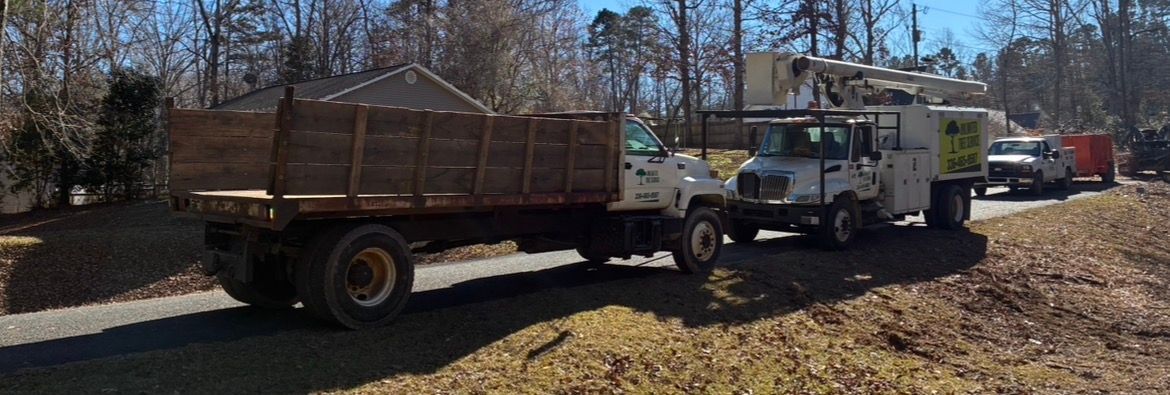 Trucks parked on a dirt road, trees in the background. One truck has a trailer, another has an elevated lift.