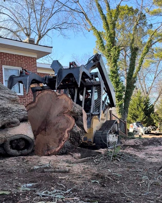 Unlimited Tree Service