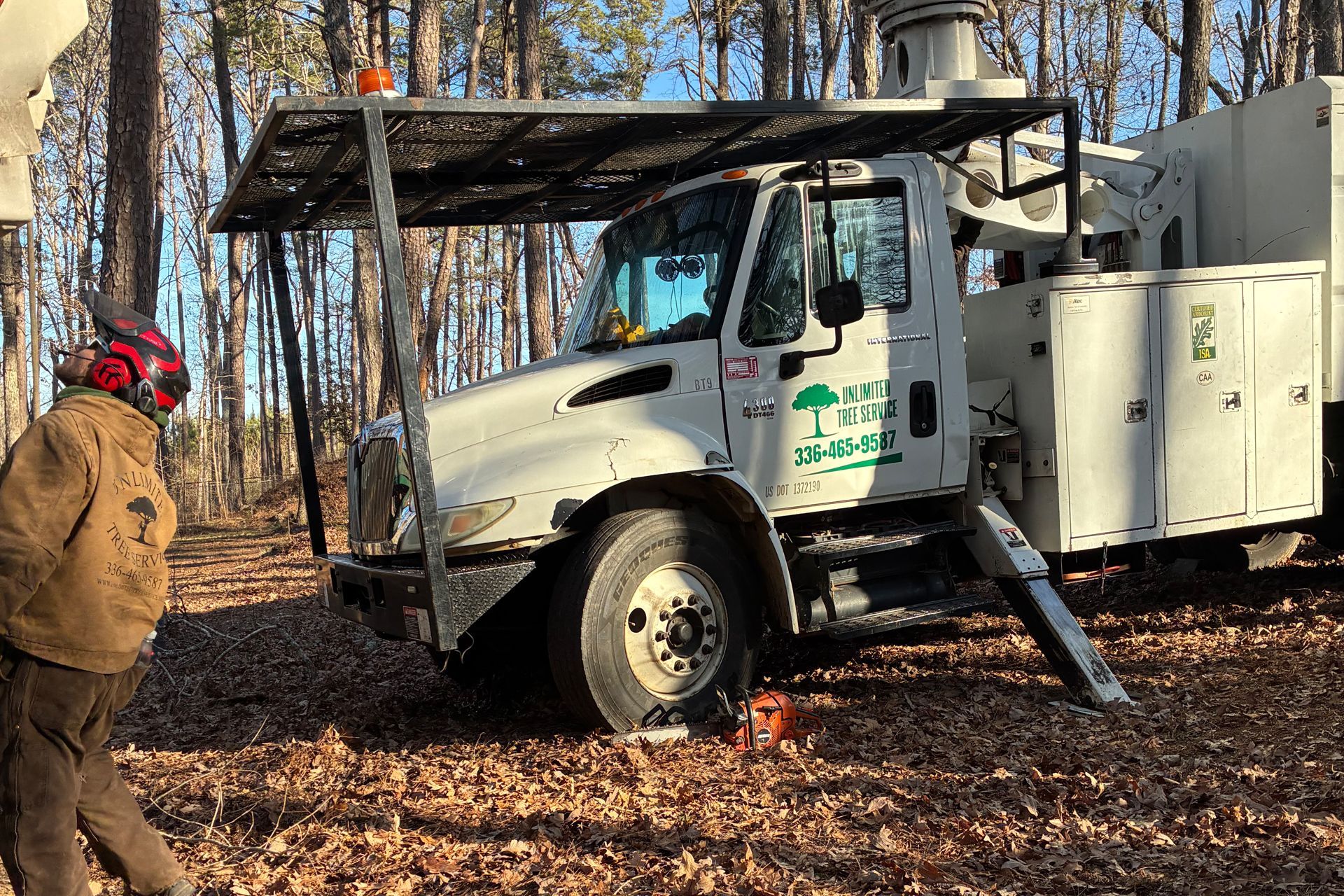 Unlimited Tree Service