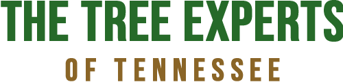 The Tree Experts of Tennessee logo