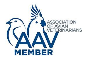 Vca forestville animal sales hospital