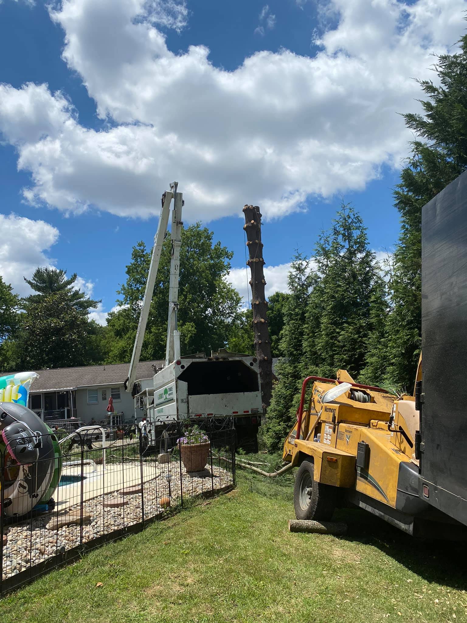 G. Rivera's Tree Service Work