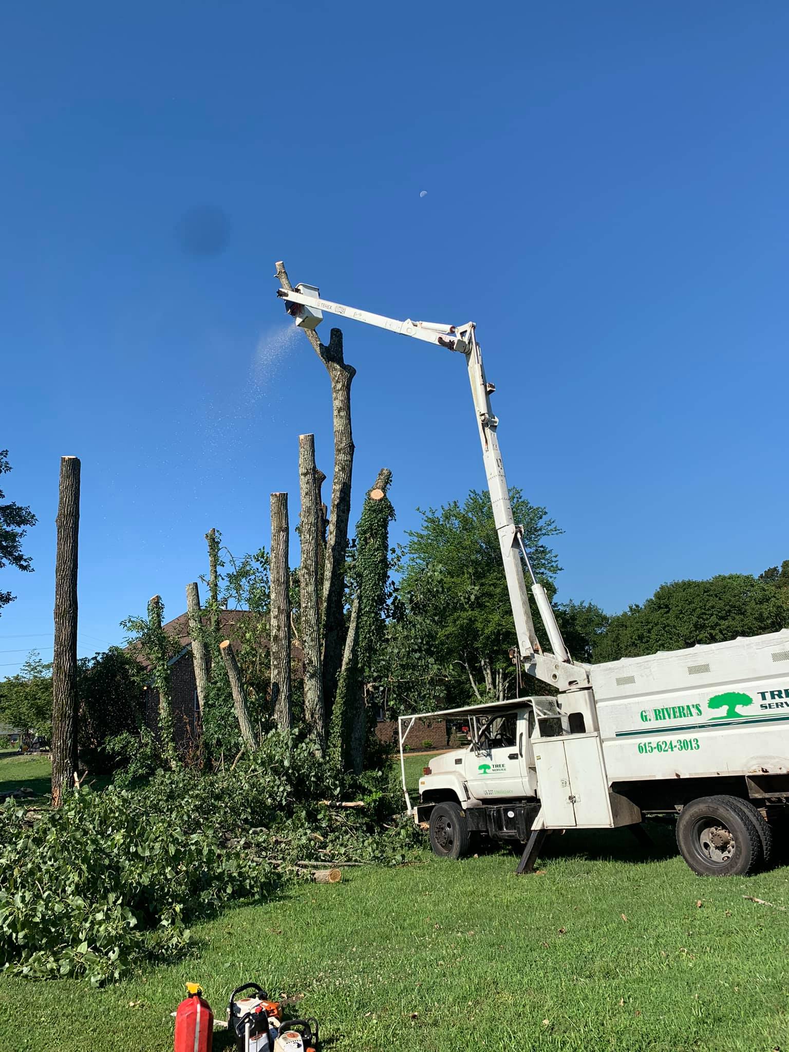 G. Rivera's Tree Service Work