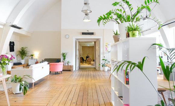 A living room with a wooden floor and lots of plants.