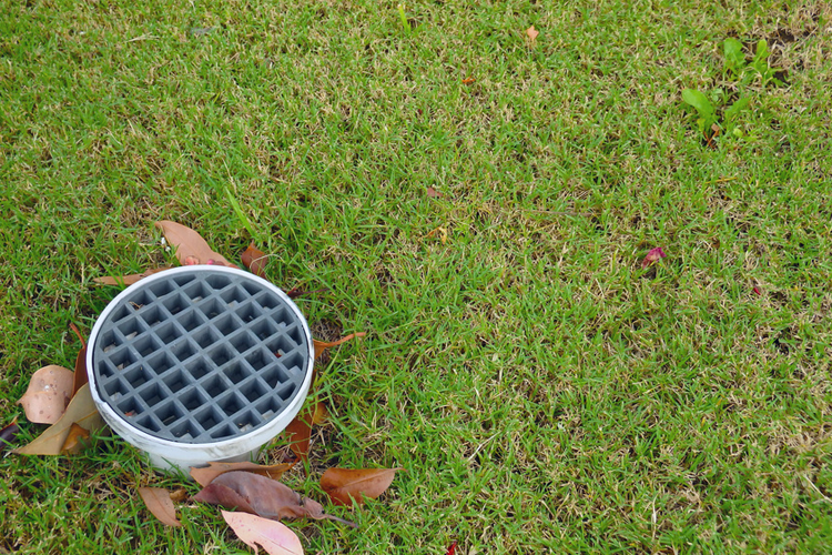 Learn More About Locating Services Sewer