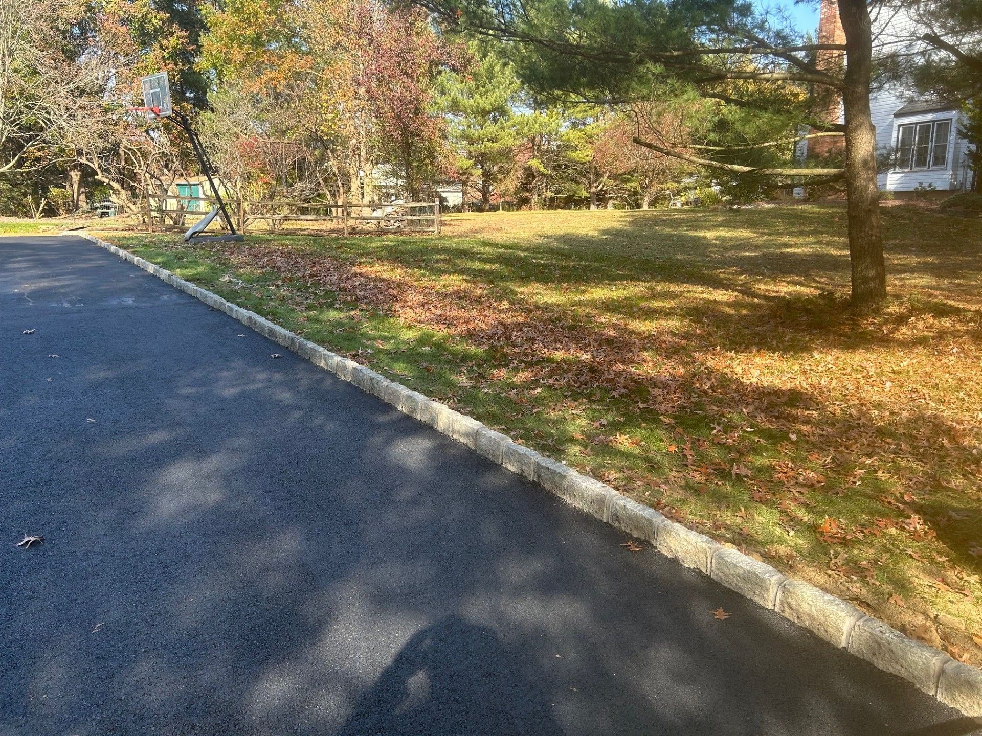 There is a basketball hoop in the middle of the road.