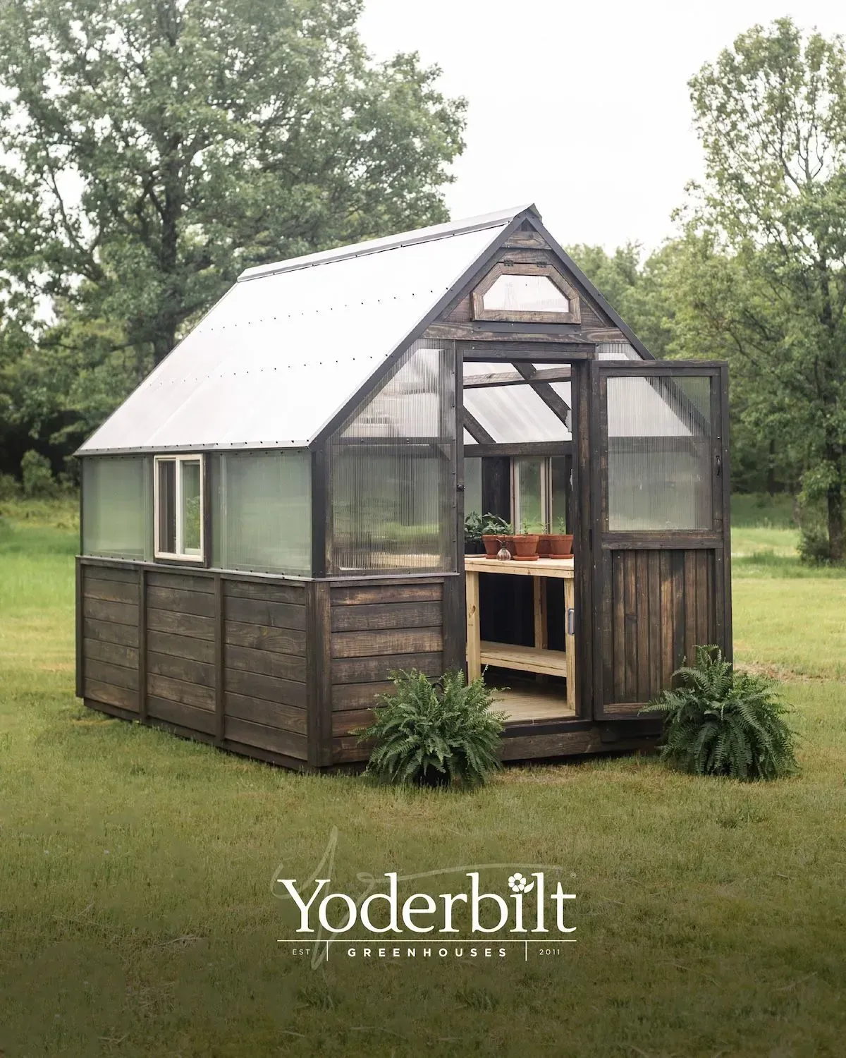 Greenhouse with wooden frame, clear and opaque panels, open door, plants inside, sitting in a grassy yard.
