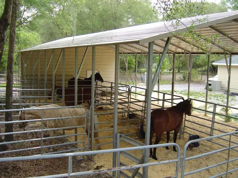 Horses in stalls under a shed. One light, one brown, and one dark horse in outdoor pens.
