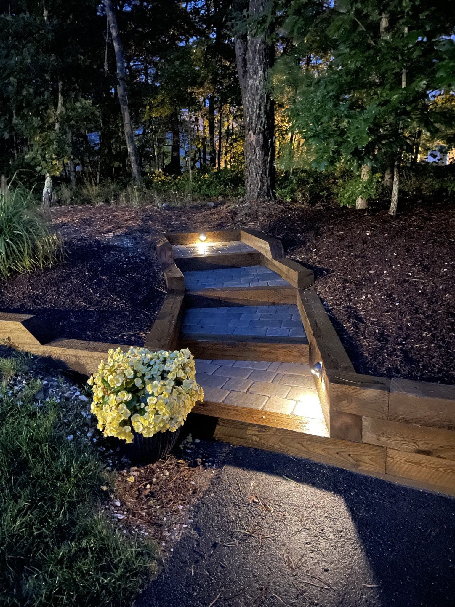 A stone staircase with built-in lights leads up a dark, mulched garden path at night near trees and a blooming shrub.