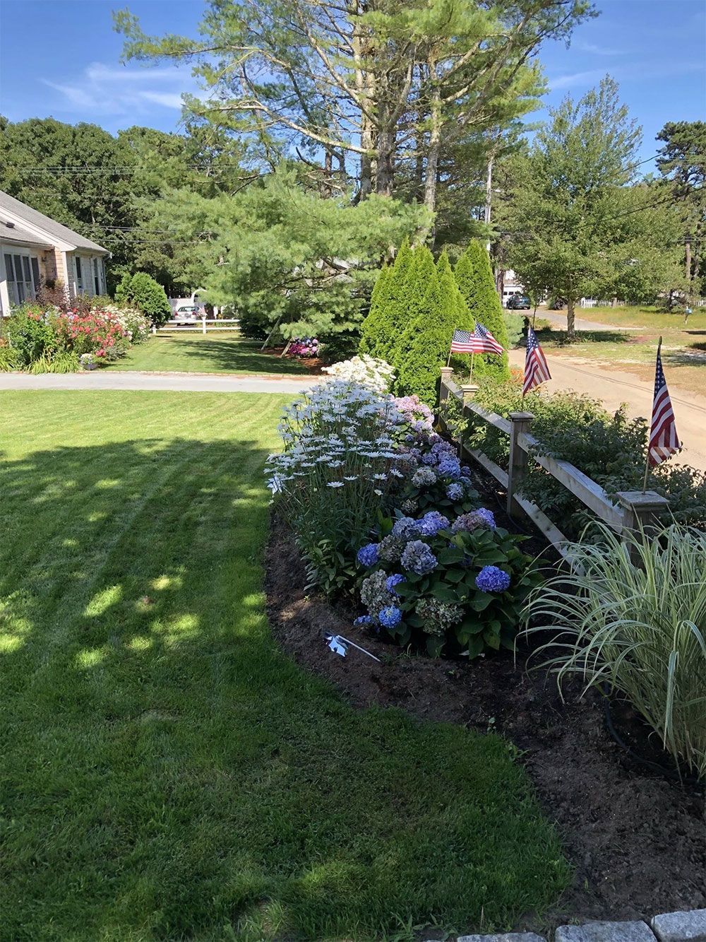 A mowed lawn leads to a garden bed with blooming blue and white hydrangeas and American flags along a wooden fence.