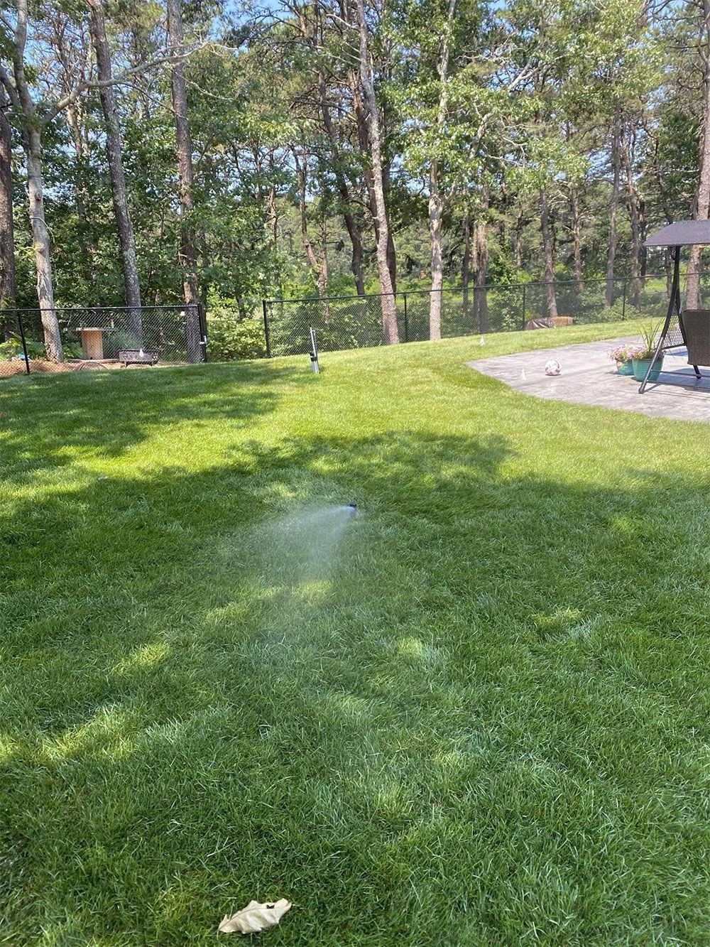A sprinkler waters a green, sunny backyard near a line of trees and a gravel area with a swing set.