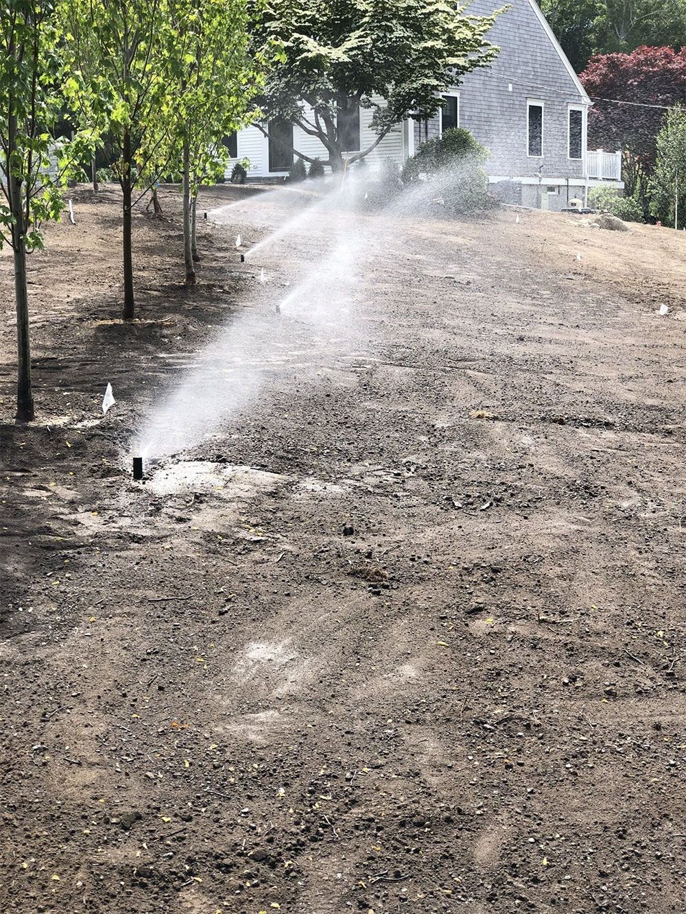 Sprinkler heads spray water across a newly landscaped yard with young trees near a house.