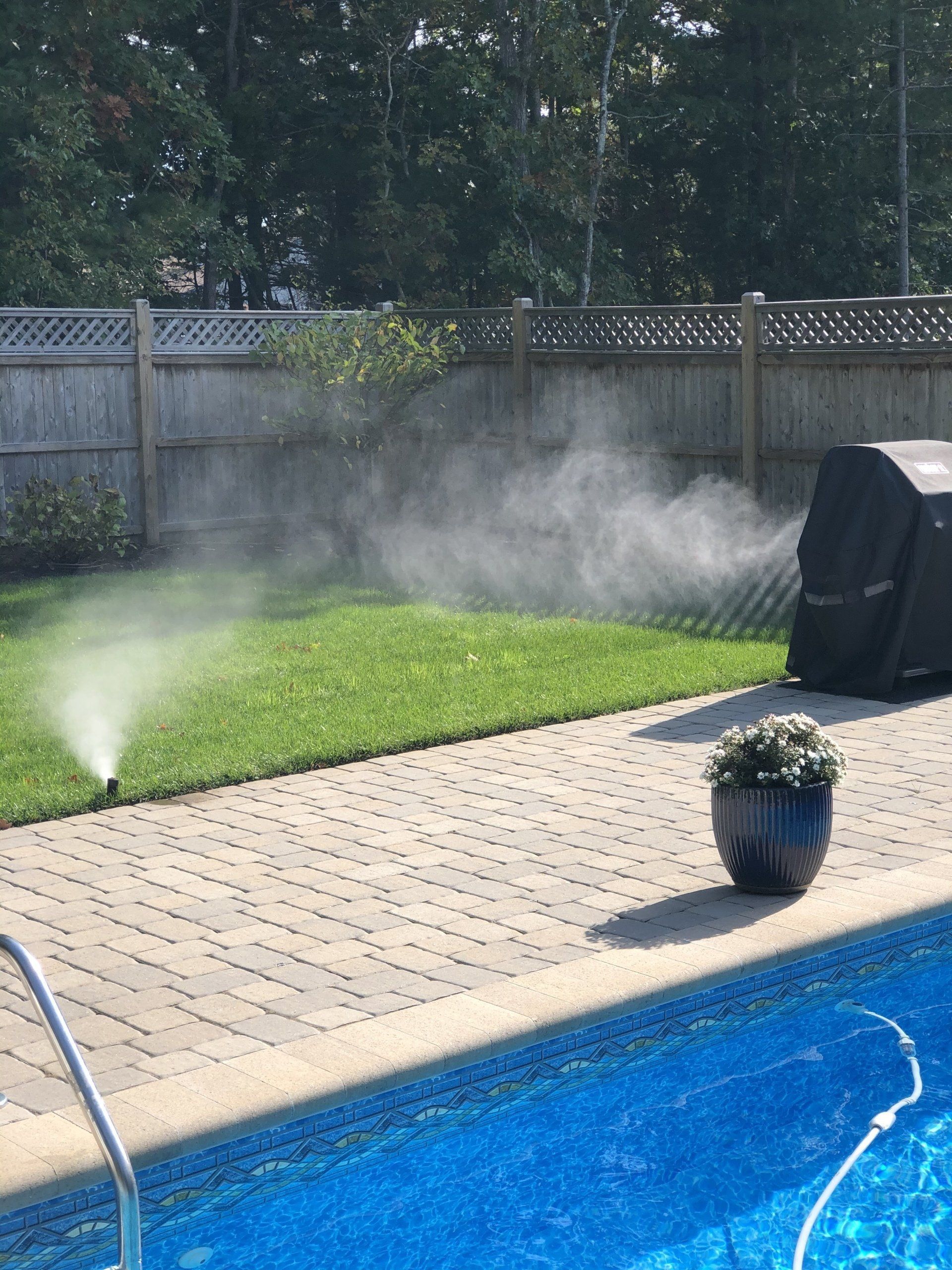 A sprinkler sprays a mist of water across a green lawn next to a backyard swimming pool and a covered grill.