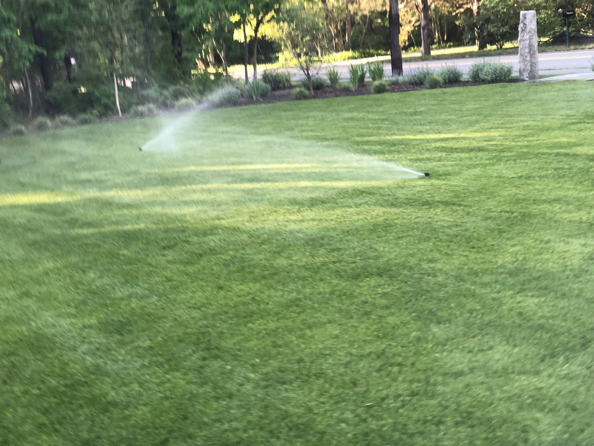 A lawn sprinkler watering a lush green grass yard on a sunny day.